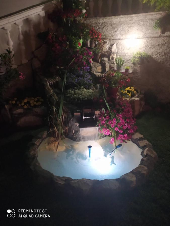 Villa Jelena 特雷比涅 外观 照片
