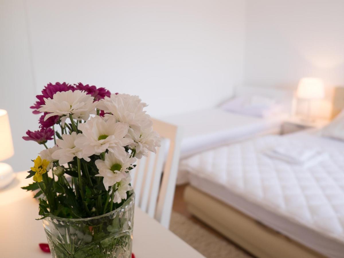 Villa Jelena 特雷比涅 客房 照片