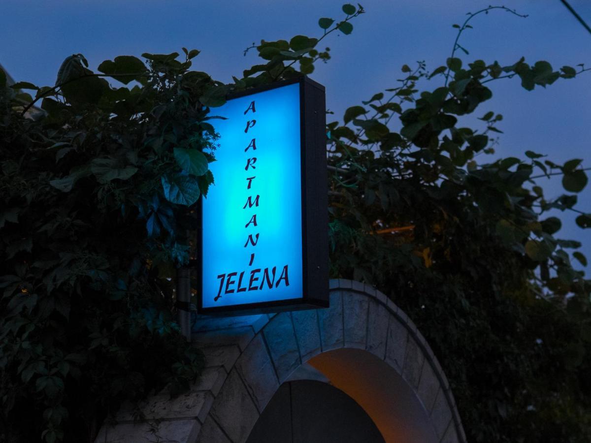 Villa Jelena 特雷比涅 外观 照片